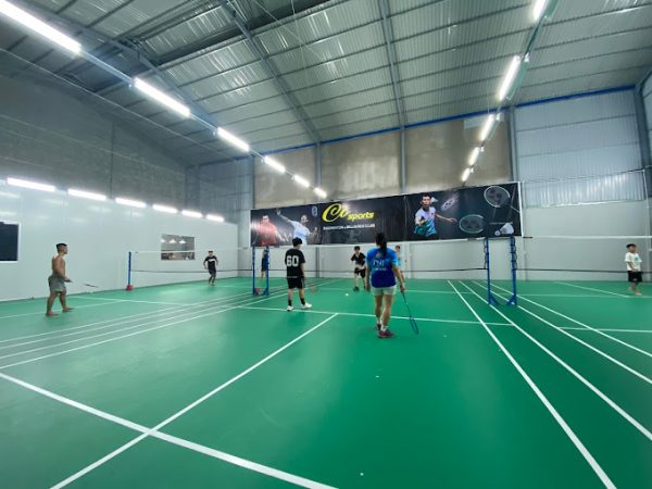 Hinh Anh 3 San Cau Long Cua Co Sport Bien Hoa (3 sân thảm màu xanh lá)