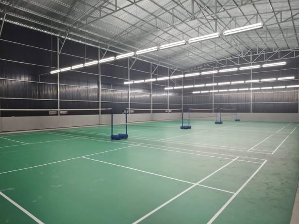 Hinh Anh San Cau Long Cua TTVH xa Phuoc Hung BRVT (các sân thảm màu xanh lá)