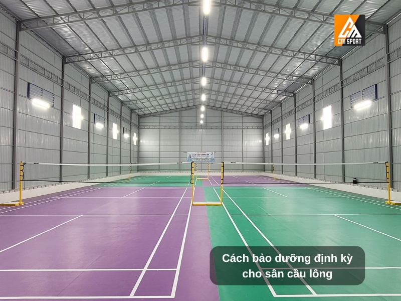 Cách bảo dưỡng định kỳ cho sân cầu lông